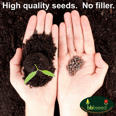 Wildflower Seeds Mix for Honey Bees 1oz - Premium Annual and Perennial Flower Seed Mix, Bulk Planting