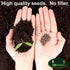 Wildflower Seeds Mix for Honey Bees 1oz - Premium Annual and Perennial Flower Seed Mix, Bulk Planting