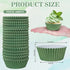 Whaline 300Pcs Green Cupcake Liners Olive Dark Green Baking Cups Wedding Baby Shower Cupcake Wrappers Holders Muffin Liners for Bridal Shower Birthday Party Decorations by Whaline