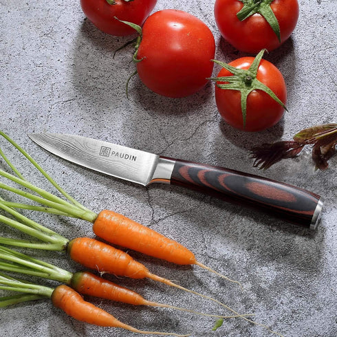 PAUDIN Paring Knife, 3.5 Inch High Carbon Stainless Steel, Ultra Sharp Small Kitchen Knife with Gift Box