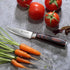 PAUDIN Paring Knife, 3.5 Inch High Carbon Stainless Steel, Ultra Sharp Small Kitchen Knife with Gift Box