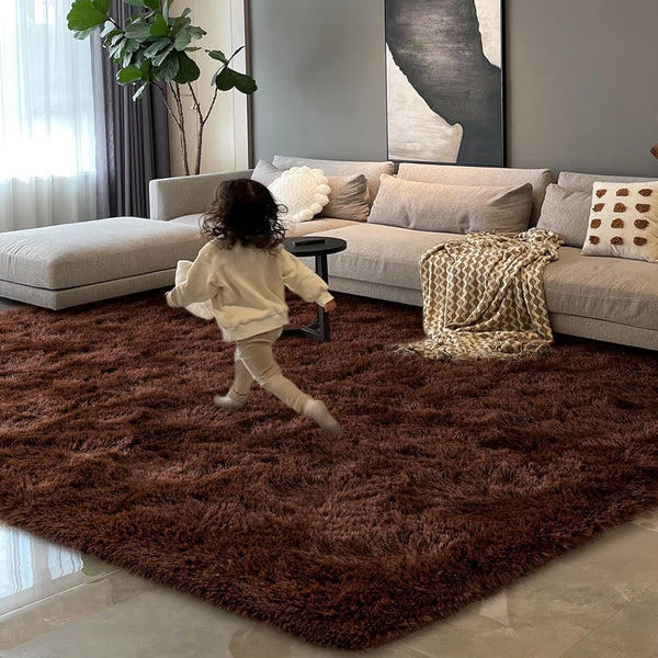 HOMORE Brown Rugs for Living Room, 5x8 Feet Fluffy Shag Area Rug