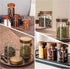 MOLADRI 18 oz/550 ml 4 Pack Glass Storage Canister with Airtight Wooden Lid, Clear Small Decorative Container Jar