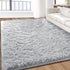 IR Imperial Rooms 4x6 Feet Grey Luxury Area Rug, Soft Fluffy Shaggy Carpet for Living Room, Non-Slip Home Decor