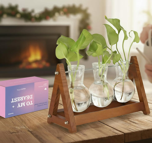 3 Bulb (1, 3-Bulb) Plant Terrarium with Wooden Stand, Glass Vase Metal Holder, Retro Hydroponics Planter