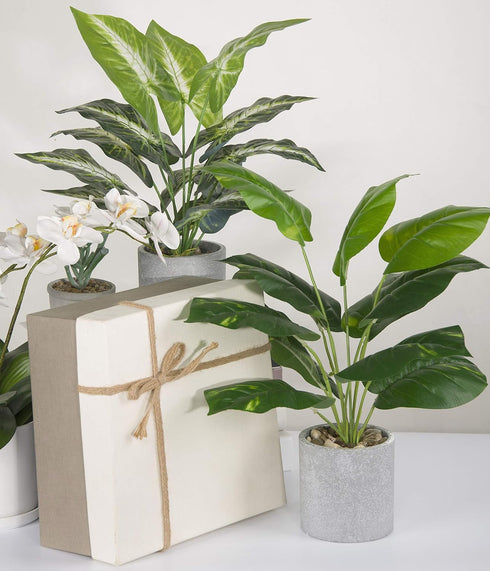 16" Small Artificial Tropical Fake Plants for Indoor Office Desk, Shelf, Bathroom Home Decor