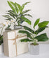 16" Small Artificial Tropical Fake Plants for Indoor Office Desk, Shelf, Bathroom Home Decor