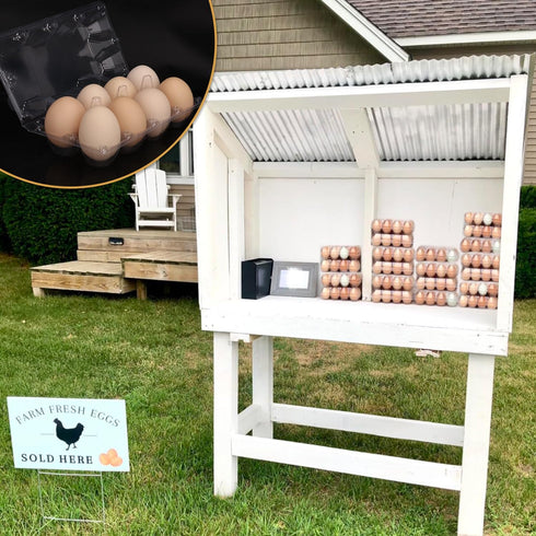 150 Pack 8 Bulk Egg Cartons, Clear Plastic Chicken Egg Holders, Egg Tray Carton Holder for Home & Kitchen, Farm