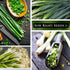 (2) Sow Right Seeds - Heshiko Japanese Bunching Green Onion Seeds for Planting - Non-GMO Heirloom - Instructions