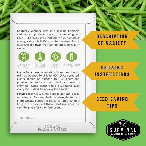 2 Packets Survival Garden Seeds - Kentucky Wonder Pole Bean Seed for Planting - with Instructions to Plant and Grow