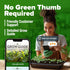 600+ HOME GROWN Vates Collard Green Seeds Heirloom Non-GMO Seeds for Planting, High Germination, Bolt Resistant Dark