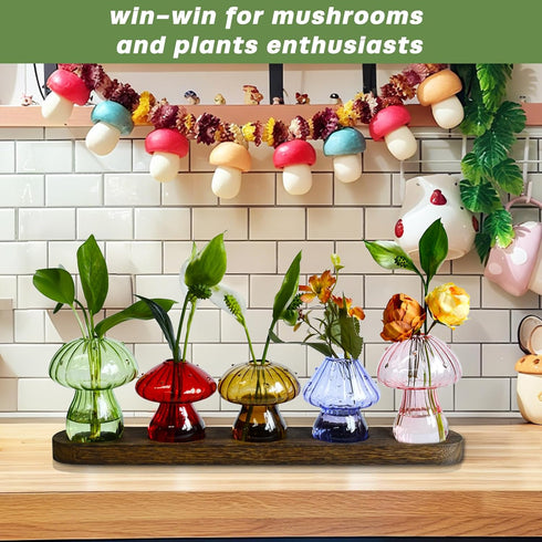Set 5, Mushroom Vase, Mushroom Propagation Stations Vases, Colored Glass Vase of Hydroponic Glass Container for Plants