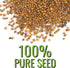 (5 Packs) Seed Needs Arugula Seeds for Planting Roquette/Rocket - Non-GMO Heirloom & Untreated - Grow an Outdoor