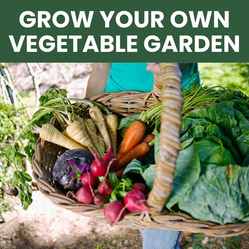 Pack 30 Packs 2026 Fall & Winter Seed Variety | Invidiual | Season | Non-GMO | Beets, Arugula, Carrots, Lettuce & More!
