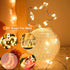 24Pack 7ft 20 3 Fairy Lights Battery Operated, LED Modes Speed Twinkle Mini String Lights Waterproof Silver Wire