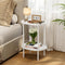 Small Modern Oval Side Table with Storage,2-Tier Side Tables Living Room,Sturdy Nightstand