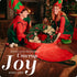 Handy Christmas Wreath Storage Bag - 2-PACK, Durable Tarp Material with Zipper, Ideal for Holiday Organization