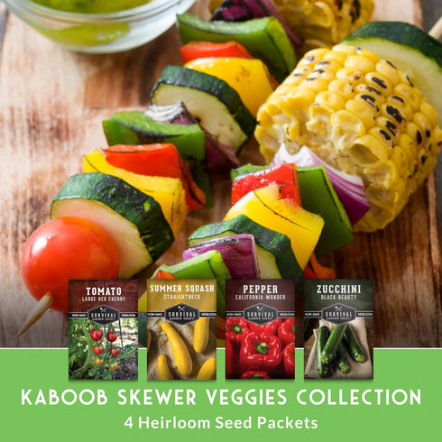 Summer Survival Garden Seeds Kabob Skewer Vegetables Collection - Large Red Cherry Tomato, Black Beauty Zucchini