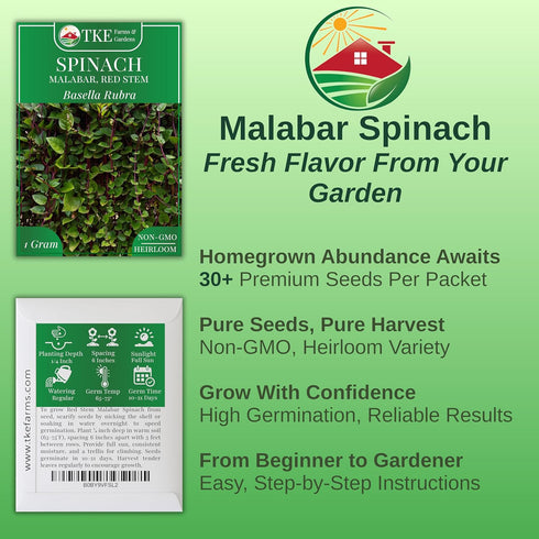 30 1 Packet TKE Farms & Gardens - Red Malabar Spinach Seeds for Planting, Heirloom Non-GMO Climbing Spinach, Nutritious