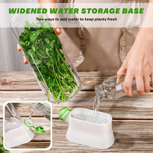 2 2-3 Baderke Pieces Herb Saver for Refrigerator Herb Keeper Herb Storage Containers Herb Saver Pod for Cilantro