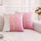 TAOSON Velvet Throw Pillow Covers,Pack of 2 Soft Decorative Cushion Covers Cases Pink