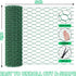 Bittesnew 16 600 Inches x Chicken Wire for Floral Arrangements, Green Chicken Wire, Hexagonal Galvanized Wire Mesh