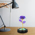 Childom Light Up Rose in Glass Dome, Colorful Purple Flowers for Women, Mom, Grandma, Christmas, Anniversary Gifts