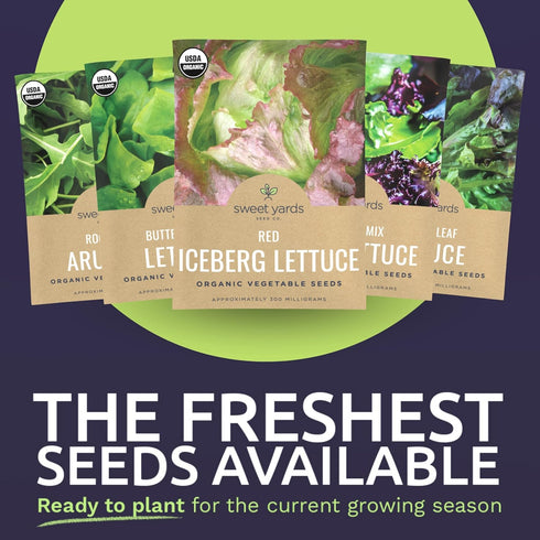 Pack 10 Packs 2026 Organic Lettuce & Greens Seeds Variety - Individual - Season - Buttercrunch, Arugula, Romaine, Kale