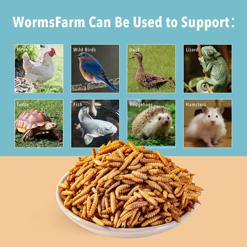 10lb Birds(10 WormsFarm Dried Black Soldier Fly Larvae Treat for Chickens More Calcium Than Mealworms,for Laying