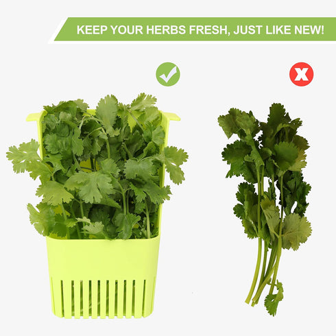 Herb Keeper 1Pcs, BPA-Free Plastic Herb Saver with Inner Basket for Cilantro, Mint, Parsley, Asparagus, Keeps Fresh