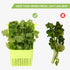 Herb Keeper 1Pcs, BPA-Free Plastic Herb Saver with Inner Basket for Cilantro, Mint, Parsley, Asparagus, Keeps Fresh