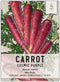 Seed Needs Carrot Seeds for Planting Cosmic Purple Carrots - Non-GMO Heirloom