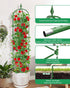 2 Pack 6Ft MYMULIKE Garden Trellis for Climbing Plants Outdoor & Indoor - Tall Rustproof Plant Support Cage for Vines
