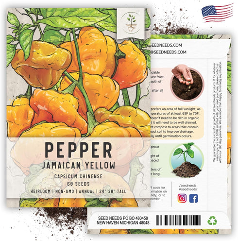 (5 Packs) Seed Needs Hot Pepper Seeds for Planting Jamaican Yellow Chile Peppers - Non-GMO Heirloom & Untreated