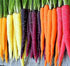 Axel's Garden Seeds Rainbow Carrot Seeds for Planting Heirloom Non GMO Packets 750 Seeds Plant