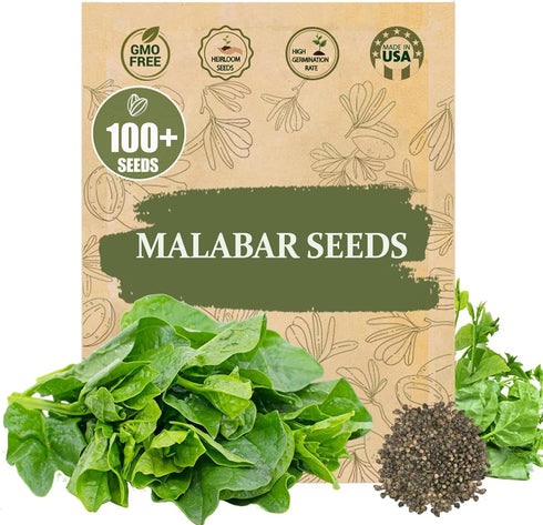 Premium Malabar Spinach Seeds - 100 Heirloom, Non-GMO Seeds for Planting Easy-to-Grow