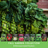8 Packs Pack Fall & Winter Vegetable Seed Collection of Non-GMO Heirloom Seeds for Planting Vegetables | Autumn
