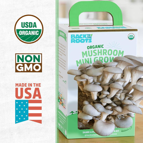 10 Back to the Roots Organic Mini Mushroom Grow Kit, Harvest Gourmet Oyster Mushrooms In days, Top Gardening Gift