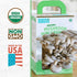 10 Back to the Roots Organic Mini Mushroom Grow Kit, Harvest Gourmet Oyster Mushrooms In days, Top Gardening Gift