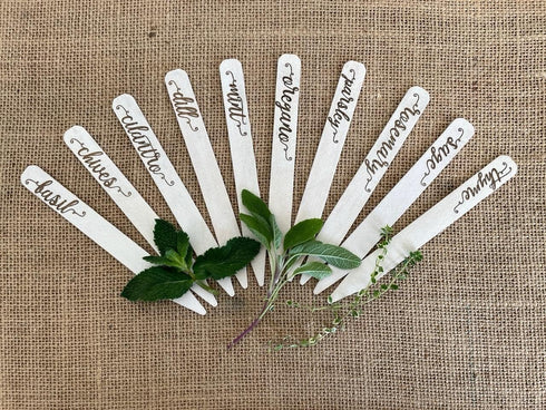 Gardinnovations Plantid Assorted 10-Pack Kitchen Herbs! Farmhouse Decor Outdoor Indoor Herb Garden Stakes,