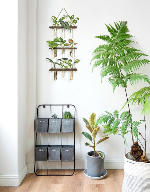 3 Mkono Plant Propagation Tubes, Tiered Wall Hanging Terrarium with Wooden Stand Flower Vase Test Tube Glass Planter