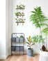 3 Mkono Plant Propagation Tubes, Tiered Wall Hanging Terrarium with Wooden Stand Flower Vase Test Tube Glass Planter