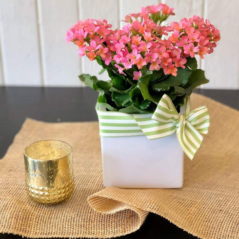 WGV Ceramic Cube Vase, Width 4" Height 4", Elegant Modern Block Square Floral Planter for Home Office Decor