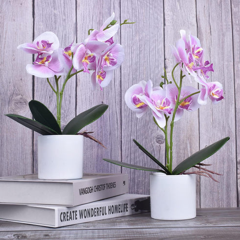 XONOR 2 Pieces Artificial Orchid Flowers, Potted Fake Orchids with Plastic Vase for Home Decor, Office, Wedding