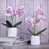 XONOR 2 Pieces Artificial Orchid Flowers, Potted Fake Orchids with Plastic Vase for Home Decor, Office, Wedding