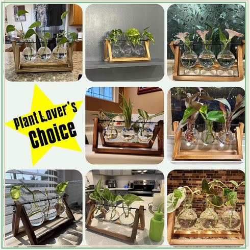 Bulb 3 Bulb XXXFLOWER Plant Terrarium with Wooden Stand, Air Planter Glass Vase Metal Swivel Holder Retro Tabletop