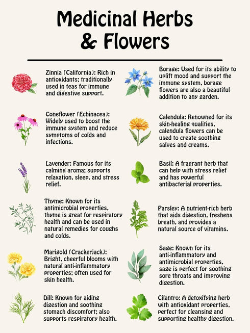 Set 12 Medicinal Herb and Flower - Varieties of Non-GMO & Heirloom Flowers and Herbs - Basil, Cilantro, Calendula
