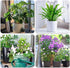 4 Pack Yhtpouqe Stackable Metal Plant Trellis for Climbing Plants Outdoor/Indoor - Sturdy Garden Trellis for Potted
