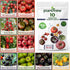 10 Heirloom Tomato Seed Varieties Packet - Non-GMO, Open Pollinated Seeds for
