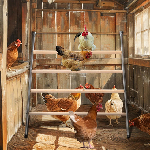 (55" 40" PETSFIT Square Chicken Roosting Perch, Perfect for Backyard Poultry, Chickens Perch for Coop, Easy